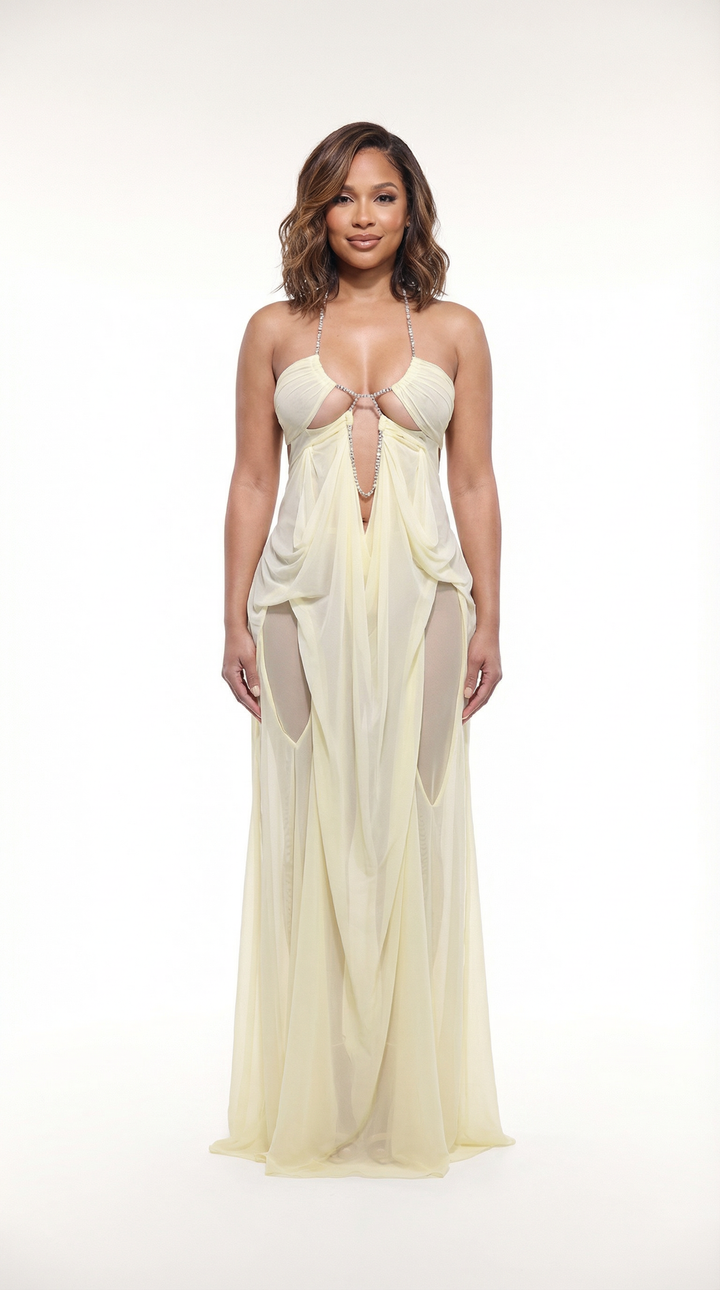 Sheer Mesh Maxi Dress